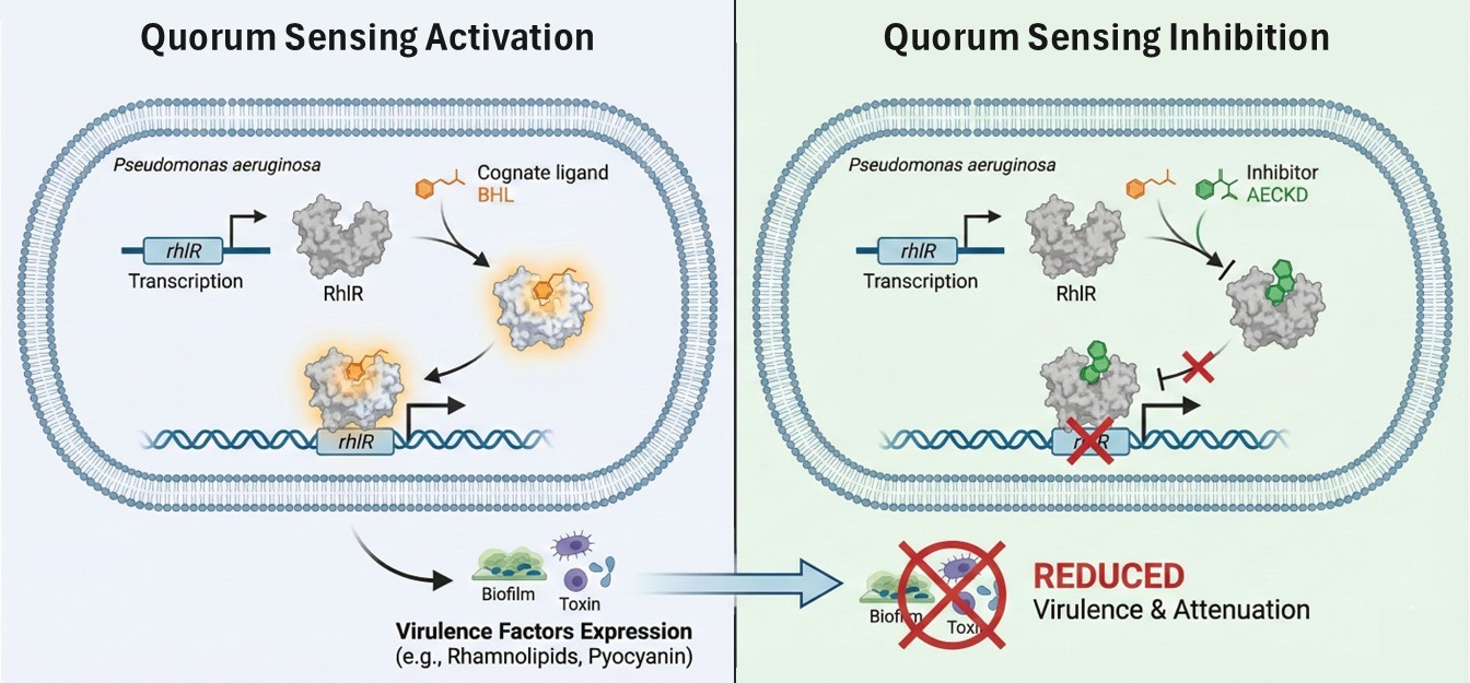 Quorum Sensing Structure